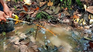 MANCING UNIK IKAN LEMBAT DI LUBANG