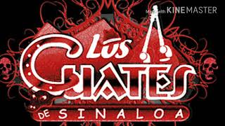 Los cuates de sinaloa corridos y canciones by EL AREMANGADO MS 2,654 views 6 years ago 1 hour, 38 minutes