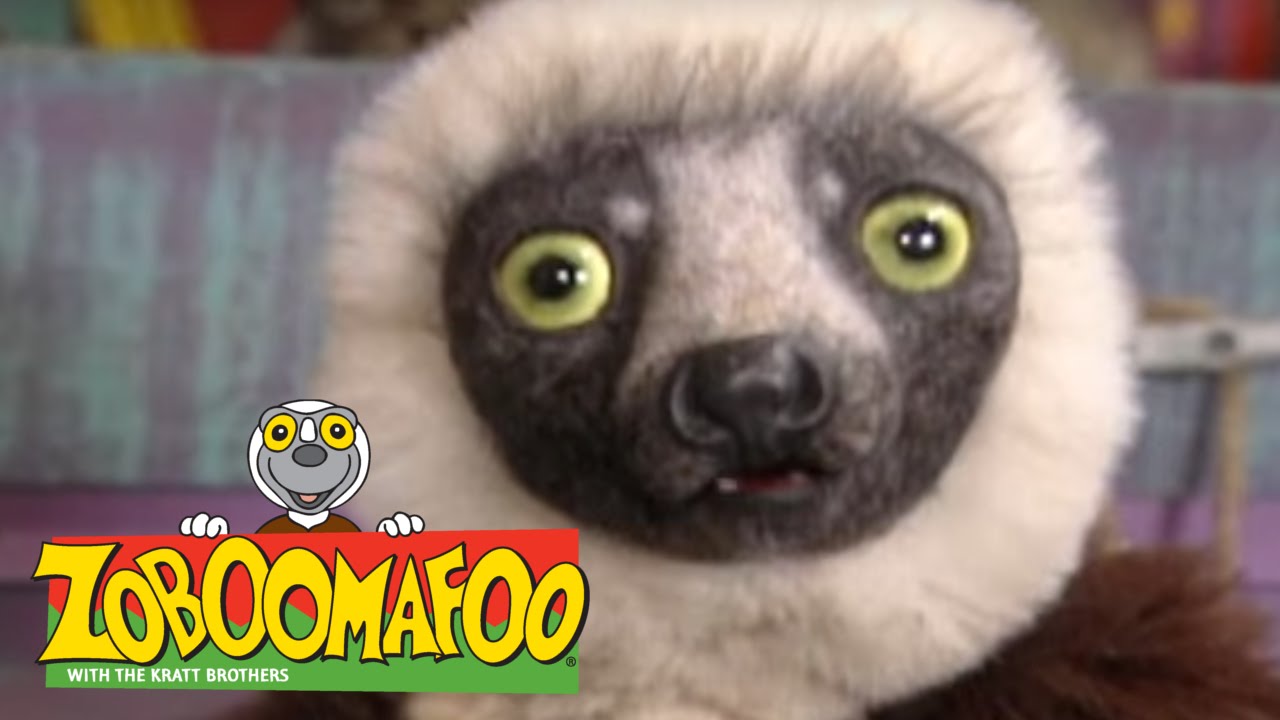 Zoboomafoo 221 Powerhouse (Full Episode) YouTube