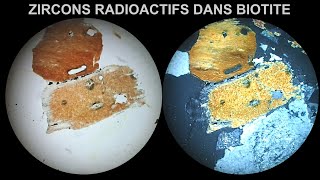 Zircons radioactifs dans biotites   Immersion 360°   LPnA vs LPA x 100
