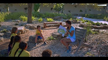 Take a look at the garden you built.