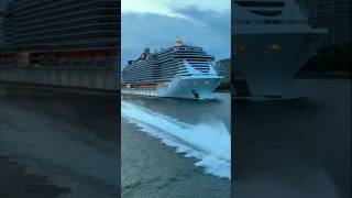 First time cruise survival Guide: