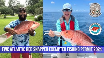 Red Snapper - Exempted Fishing Permit 2024