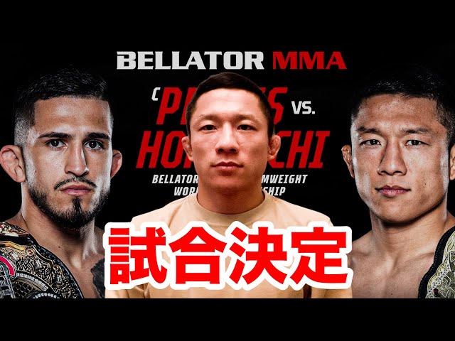 〈実使用〉UFC186 タイトルマッチ 堀口恭司 vs DJ バンテージ 非売品〉UFC186 堀口恭司 実使用バンテージ & 試合用ファイト