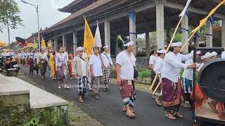 UPACARA ADAT BALI ❗️ NYENUK