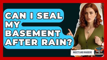Can I Seal My Basement After Rain? - Insects and Invaders