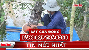 ⚡ Tin mới nhất | Người đặt lợp cua đồng phấn khởi