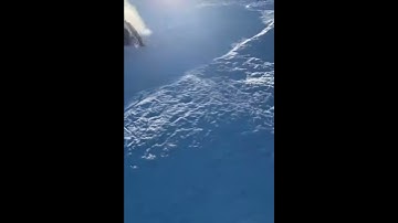 Woman Sleds Down A Snowhill On A Flamingo Floatie And Has Hard Time Stopping