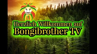 BONGIBROTHER TV
