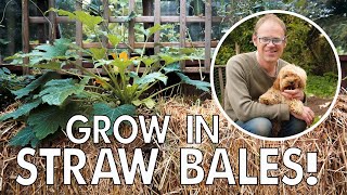 Kickstart a Weed-Free Straw Bale Garden