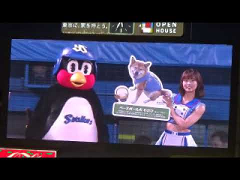 10月8日阪神タイガーズ戦、東京ヤクルトスワローズスタメン発表！！
