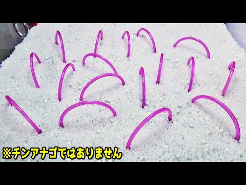 にょきにょきが過ぎる不思議なクレーンゲームがとんでもなかった・・・【水族館でもありません】