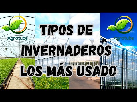 🎬 Video relacionado con invernaderos grandes