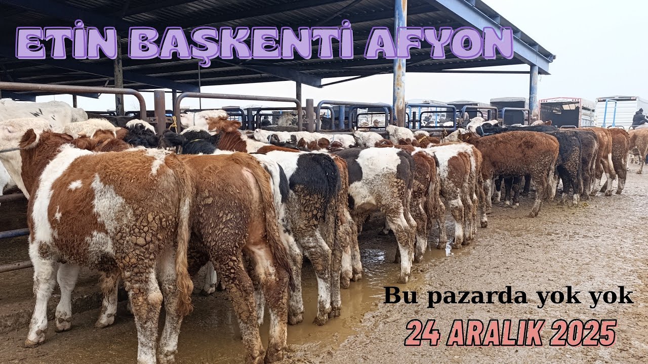 AFYON ÇAYIRBAĞ HAYVAN PAZARI 24 ARALIK 2025