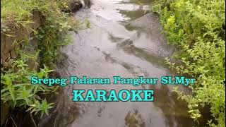 Srepeg Palaran Pangkur SLMyr KARAOKE