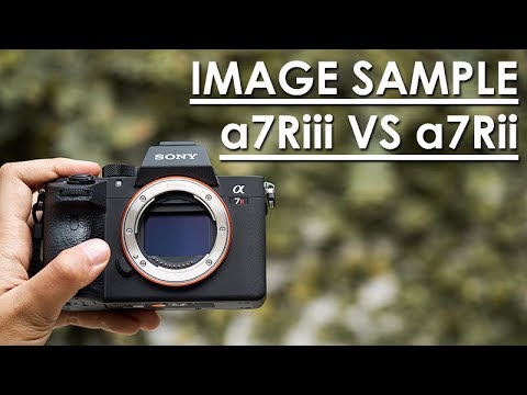 REVIEW SONY A7R mark iii dengan IMAGE SAMPLE | Bahasa Indonesia
