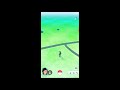 Pokemon Go Experience