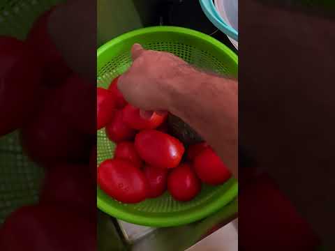 سس انار ایرانی قسمت اول