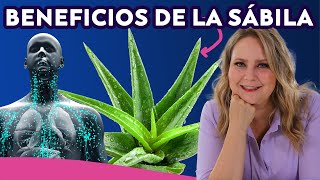 Discover the incredible benefits of Aloe Vera by Las Recetas de Laura  Comidas Saludables 3,165 views 6 months ago 8 minutes, 46 seconds