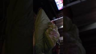 Мой кот ПРИСМЕРТИ !!!!!!!!! Мой кот ПРИСМЕРТИ !!!!!!!!!