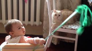Девочка Настя играет с милым котиком Nastya plays Приколы с животными Пирколы с детьми Девочка Настя играет с милым котиком Nastya plays Приколы с животными Пирколы с детьми