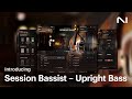 Introducing Session Bassist – Upright Bass | Native Instruments