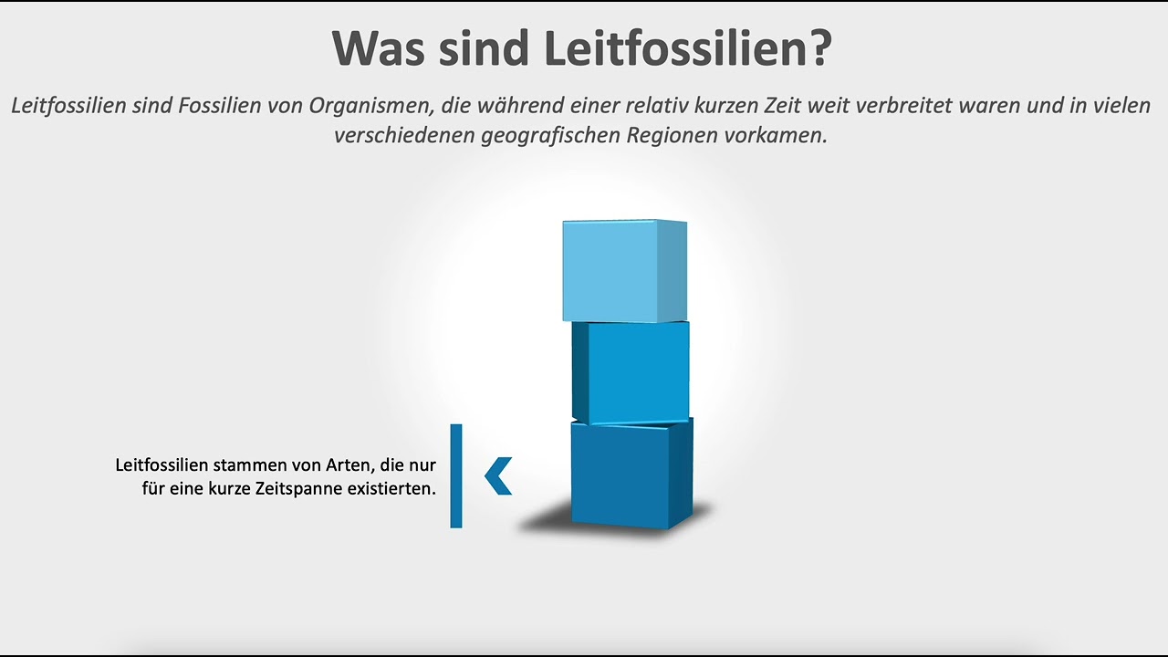 Biologieunterricht - Evolution - Fossilien