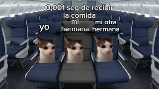 Cuando viajas en avion | meme gatos
