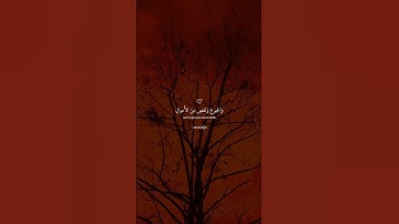 ﴿وَبَشِّرِ الصَّابِرِينَ﴾ | تلاوة تلامس القلوب #إسلام_صبحي #قرآن #تلاوة_خاشعة