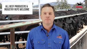 Angus Sire Benchmarking Program Open Day Invitation