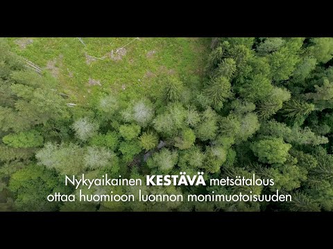 Video: Pokaina Metsä. Luonnon Salaisuudet Pokaine, Latviassa - Vaihtoehtoinen Näkymä