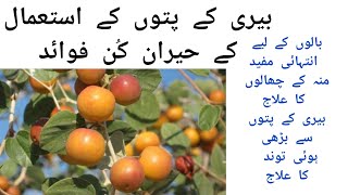 Beri K Ptoon K Faidyberry Leaves Benefitsraaj Health And Beauty Tv.