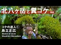 北八ヶ岳コケと知られざる糞ゴケの生態【コケの達人①麦草ヒュッテ島立正広】＃66
