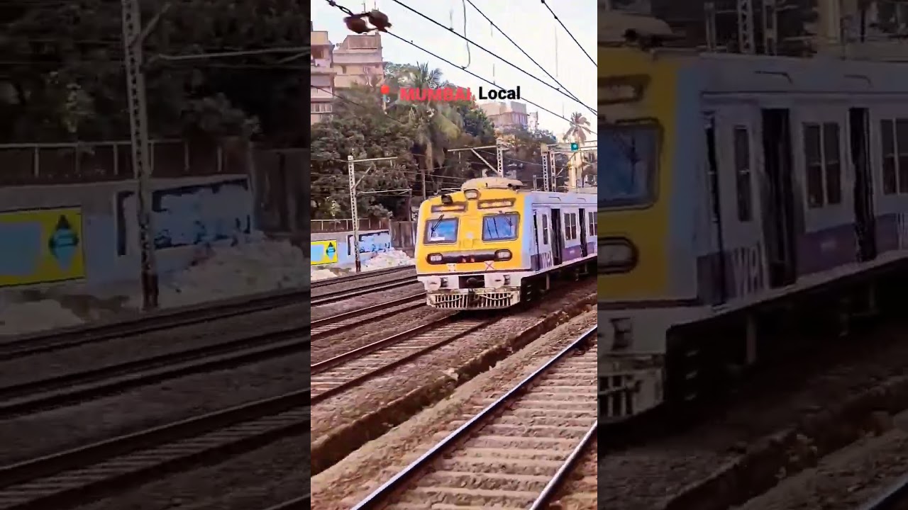Mumbai Local: Ride Along the City's Heartbeat 