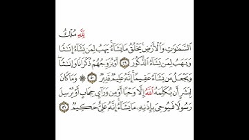 سورة الشورى 18 القسم الثامن عشر تكرار كيفي من .. لله ملك السماوات والأرض .. إلى .. حكيم