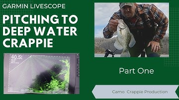 Garmin Livescope Pitching to Deep Water Crappie. Dale Hollow. Part 1