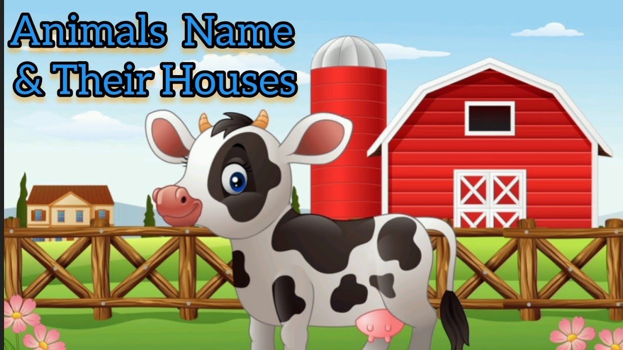 Animals Name and their Houses Animals House Name YouTube