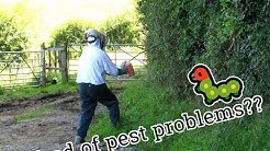 Wausau Roach Control 