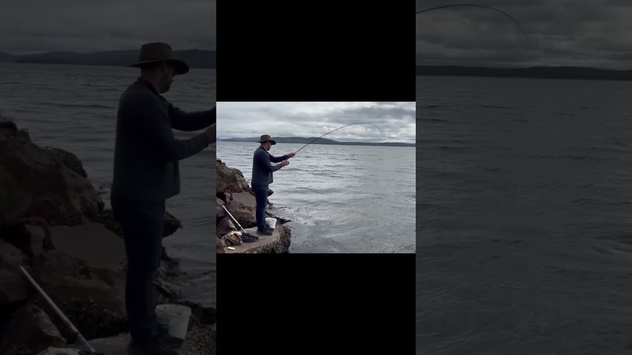 First luderick caught on fly - stoked!