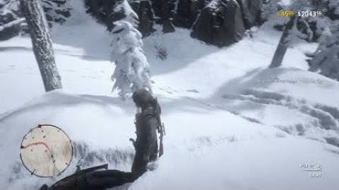 NEW Mexican Stranger Ambush - Red Dead Online Dynamic Event