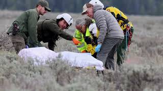 Grand Teton Search and Rescue Helicopter Extraction of Grizzly Bear attack Victim 52024