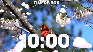 🌸 10 Minute Spring Cherry Blossom Timer | Relaxing Music & Peaceful Nature Sounds | Calm Countdown 🎶