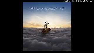 The Endless River | 05 - Skins - Pink Floyd