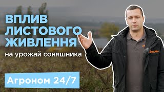 Вплив листового живлення на урожай соняшника. Дослідна ділянка Вінницька обл. | Агроном 24/7