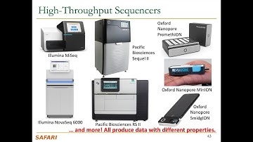 Accelerating Genomics Course - Meeting 2: Introduction to Sequencing (Spring 2022)