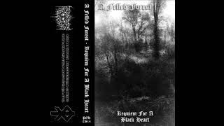 A Felled Forest - Dusk in Reverie