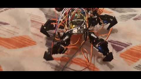 Hexapod Robot walking test
