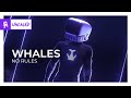 Whales - No Rules [Monstercat Release]