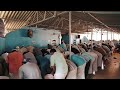 53-ാമത് നേർച്ച അമ്പംകുന്ന് കോയാക്ക ഫണ്ട് ഫെബ്രുവരി 21,22,23(വെള്ളി, ശനി, ഞായർ) എന്നീ തിയ്യതികളിൽ