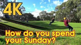 【4K UHD BEAUTIFUL ADELAIDE AUSTRALIA】What do you do on Sunday? Tree Climb